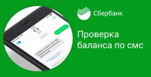 kak-uznat-balans-karty-cherez-sms-vseh-bankov